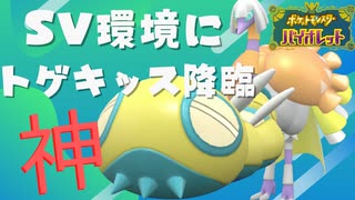ポケモンSV｜ノココッチとクエスパトラが環境に君臨します