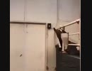 厩務員と見る餌やり機を完全に理解した馬