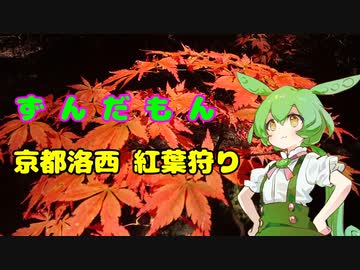 ずんだもん京都洛西 紅葉狩り