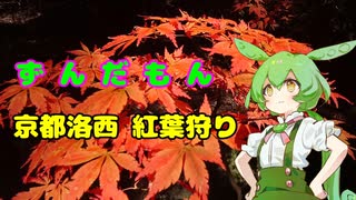 ずんだもん京都洛西 紅葉狩り