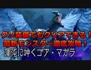 業鎧装備で行く！渾沌に呻くゴアマガラ徹底攻略＆徹底解説【業鎧修羅とvflower】