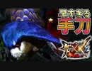 【MHXX】あまりに早すぎる手刀。ホロロかと思ったらクロロだった。いや、やっぱりホロロだった【モンスターハンターダブルクロス】part10
