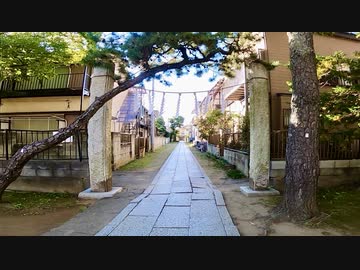 千葉県市川市真間を歩く【今度こそ市川市編 part 1】【散歩208】