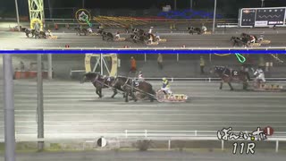 第13回ドリームエイジカップ メジロゴーリキ