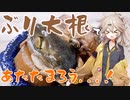 つむぎちゃんとブリ大根であったまろう！【VOICEROIDキッチン】