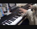 [ピアノ]1000％sparking弾いてみた。(魔法先生ネギま！)