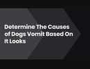 Determine The Causes of Dogs Vomit Based On It Looks