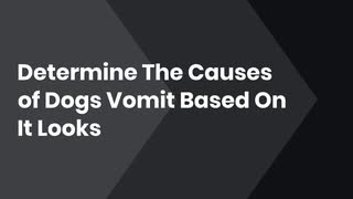 Determine The Causes of Dogs Vomit Based On It Looks