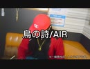 時代に取り残された一般男性が『鳥の詩/AIR』を歌ってみた【カラオケ】