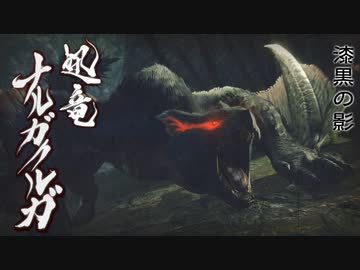 【MHRise】会長が漆黒の影ナルガクルガを攻略実況