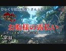 【MHRise:SB】第2回　お船様の露払い　じっくり気分転換　モンスターハンターライズ:さんぶれ