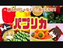 【ゆっくり解説】パプリカの栄養について解説！