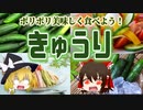 【ゆっくり解説】きゅうりの栄養について解説！