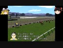 【ダービースタリオン04】攻略 #15【ハイスペックな馬でとりあえず逃げてみる】