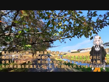 紲星あかりと行く黒目川9 埼玉県朝霞市 溝沼黒目橋～県道112号線  岡橋まで