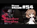 さとうささらの「Steam」単発日記帳 #54