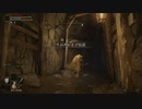 [無編集]ELDEN RING　005