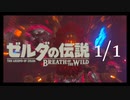 厄災に挑む【1/1】