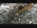 クリスマスのイルミネーション　白い森に彩る「光と音」