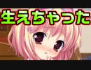 【紳士向け】#171　とんでもなく立派なイチモツが意外な妹の股間に【妹ぱらだいす！】