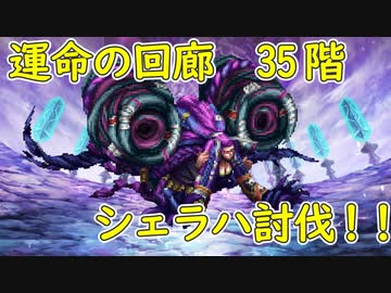 運命の回廊35階　シェラハ　攻略【ロマサガRS】【デンドロビウム】