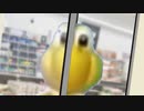 フﾜｧ!ミリーマﾜｧ!ト