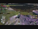 モンハンRSB