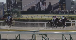2022年11月27日_東京競馬_3R_2歳未勝利_ダート1600