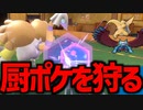 【実況】環境トップメタを上から制圧する謎の鳥がヤバすぎたwww【ポケモンSV】