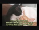 ヨーガ・ヴァーシシュタ６－１０６