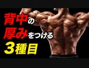 【筋トレ】背中の厚みを効率よくつける3種目 | 現役ボディビルダーが解説【ビーレジェンド プロテイン】