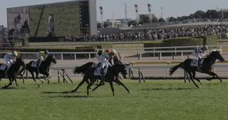 2022年11月27日_東京競馬_6R_メイクデビュー_芝1800