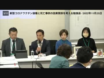 厚労省とワクチン被害者遺族の会／新型コロナワクチン接種と死亡事例の因果関係を考える勉強会　福島雅典京都大学名誉教授・小島勢二名古屋大学名誉教授（2022年11月25日）@kinoshitayakuhi