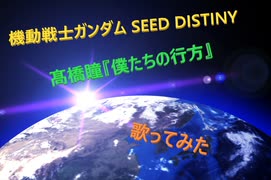 機動戦士ガンダムSEED DISTINY OP曲　髙橋瞳『僕たちの行方』歌ってみた