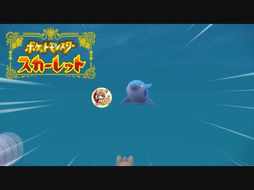 絶叫系配信者によるポケモン乱獲記　ポケモンSV　part8