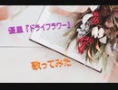 優里『ドライフラワー』歌ってみた
