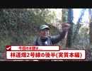 【素掘隧道】林道畑2号線を歩く(後編)～明治以前の古道、戦争遺跡(地下壕)も登場