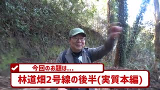 【素掘隧道】林道畑2号線を歩く(後編)～明治以前の古道、戦争遺跡(地下壕)も登場