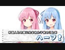 Q. 外国人との間に産まれた子供のことを……