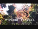 Ｏbaba vlog  晩秋の紅葉見学