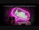 Custom Neon Signs Wedding