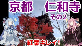 【京都】琴葉茜が代読する仁和寺へお礼参り【紅葉】