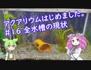 アクアリウムはじめました。 #16 全水槽の現状