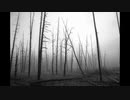 【NNIオリジナル】Unconnected