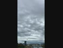 消された動画はこちらで全編見られます。