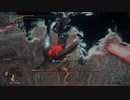 【ELDEN RING実況】vs死儀礼の鳥 part164