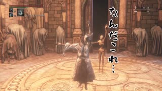 初見情報遮断でBloodborneを遊ぶ実況#23