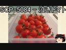 ゆっくりと一緒にSCPを紹介したい！その110【SCP】