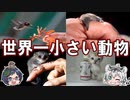 可愛すぎる！世界一小さい動物【ゆっくり解説】