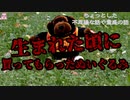生まれた頃に買ってもらったぬいぐるみ【ゆっくり怪談】【怖い話】ちょっとした不思議な話や霊感の話